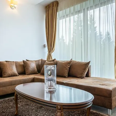 Cold Mountain In Silver Mountain Apartament Poiana Braşov