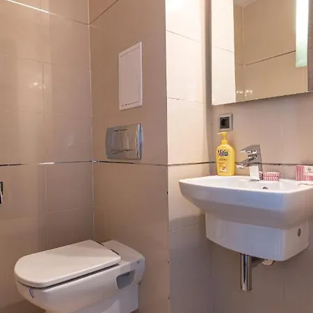 Apartament Cold Mountain In Silver Mountain Poiana Braşov
